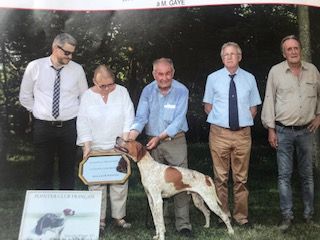 de l'espinauguet de saint ague - RIBOT DE L  ESPINAUGUET DE SAINT AGUE 