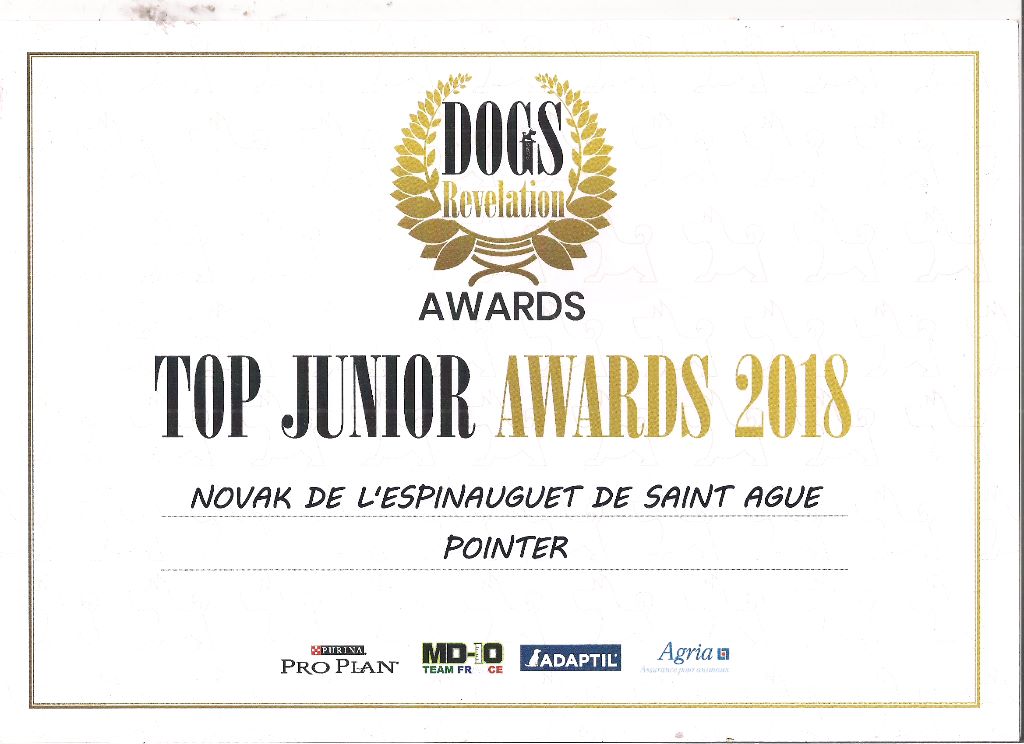 de l'espinauguet de saint ague - Novak Top Junior AWARDS 2018