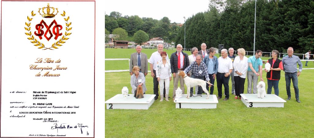 de l'espinauguet de saint ague - Novak de l'Espinauguet de Saint Ague